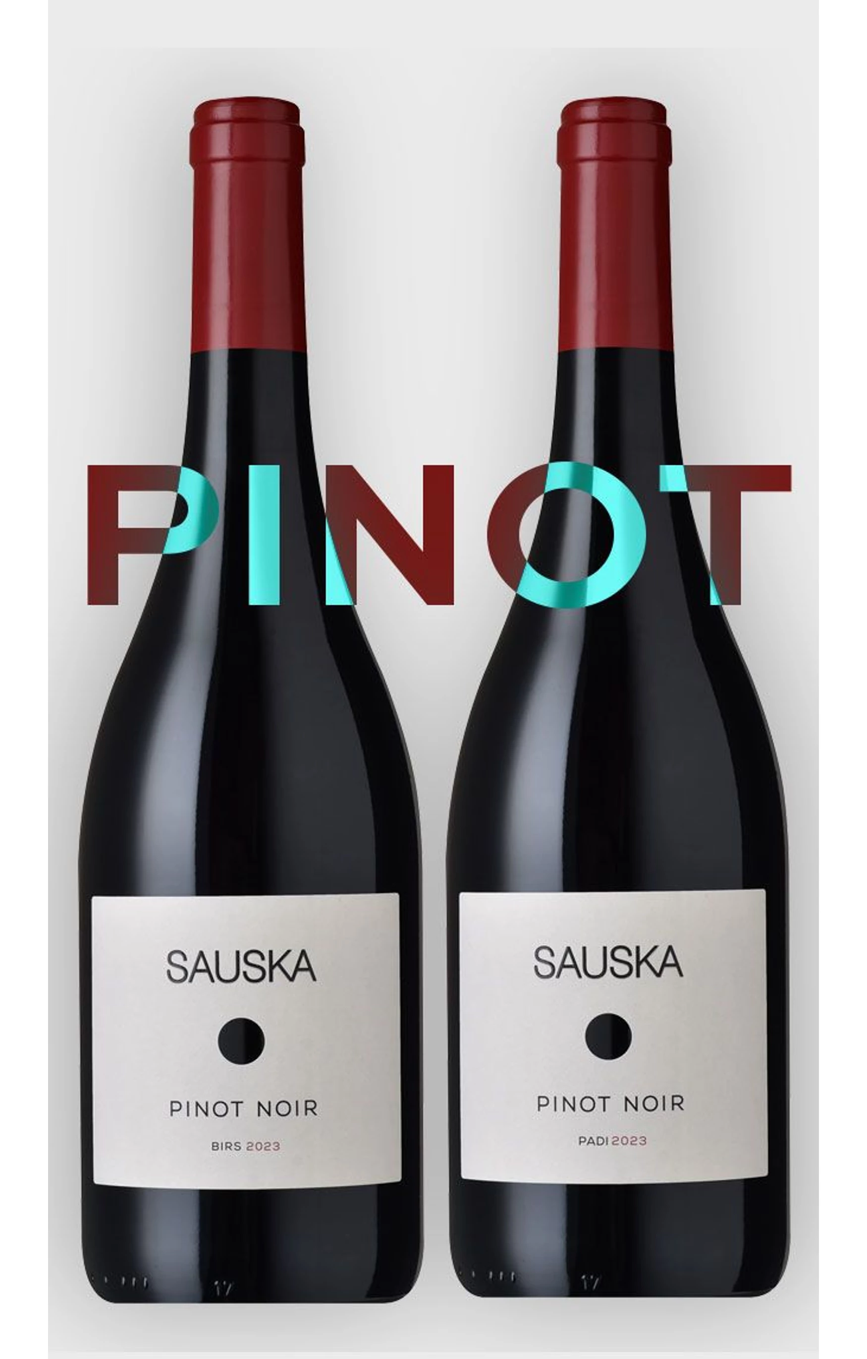 PINOT NOIR PADI & BIRS 2023 KETTES